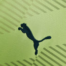 Camisola SE Palmeiras 2022/23 Goleiro Verde