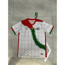 Camisola Secundária Burkina Faso 2023/24